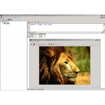 Download IRfree-CamPaper 3.9