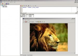 Download SemSim 2.2